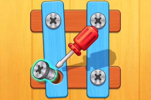 Nuts And Bolts Screw Puzzle