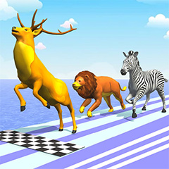 Animal Racing
