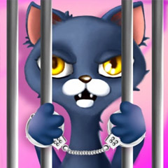 Kitty City Heroes