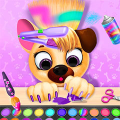 Pet Haircut Beauty Salon
