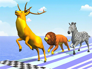 Animal Racing