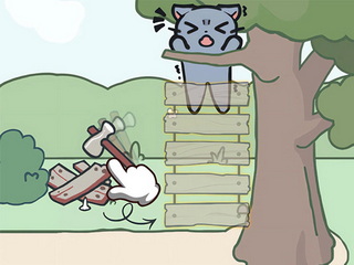 Catch The Cat