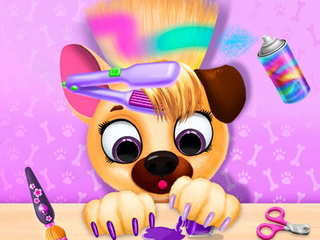 Pet Haircut Beauty Salon