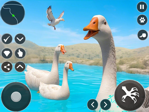 Crazy Goose Simulator cover art